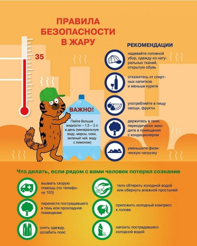 Медицинские и диагностические центры «Поликлиника.ру»